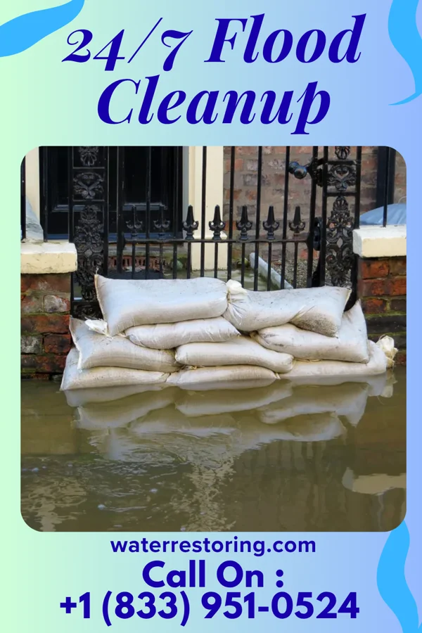 24/7 Flood Cleanup in West Roy Lake, MN