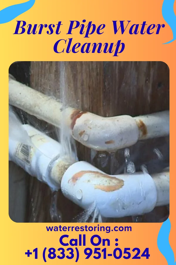 Burst Pipe Water Cleanup in West Roy Lake, MN