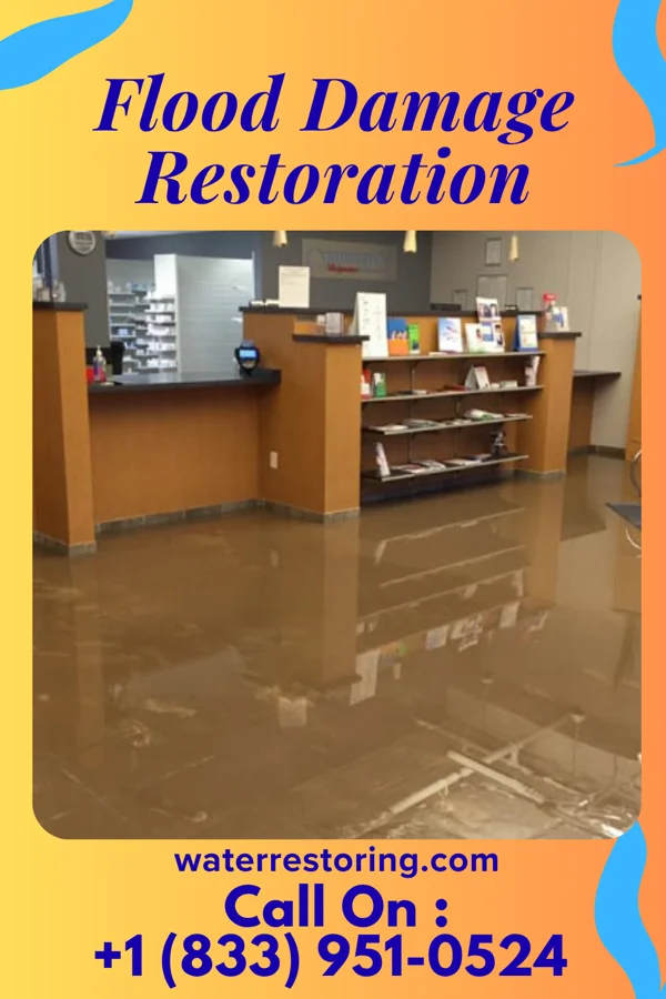 Flood Damage Restoration in West Roy Lake, MN