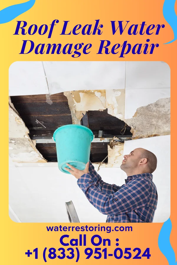 Roof Leak Water Damage Repair in West Roy Lake, MN