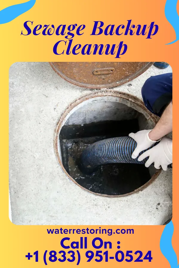 Sewage Backup Cleanup in West Roy Lake, MN