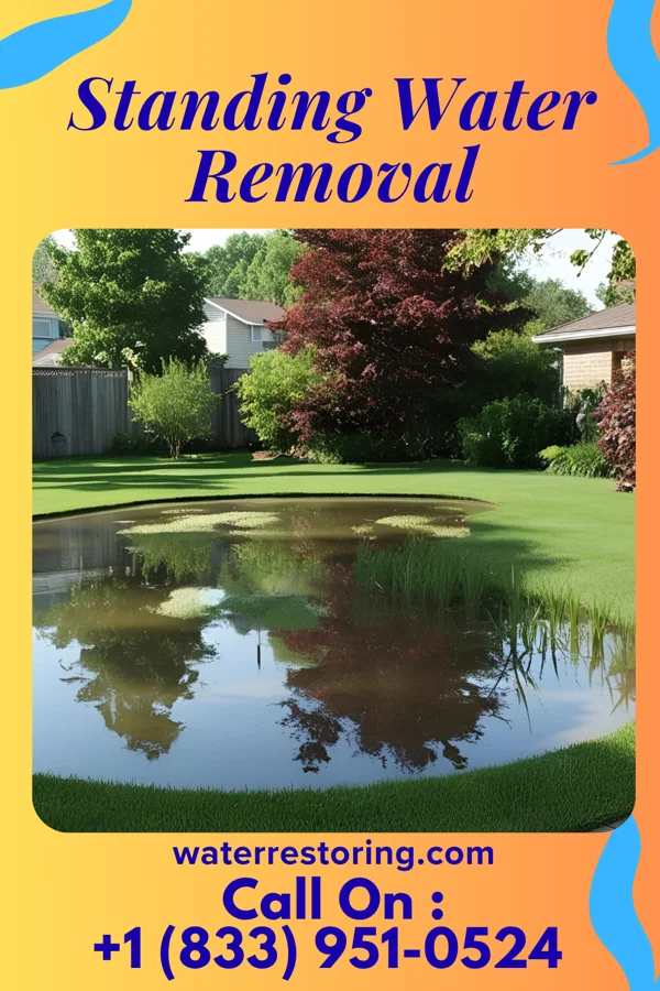 Standing Water Removal in West Roy Lake, MN